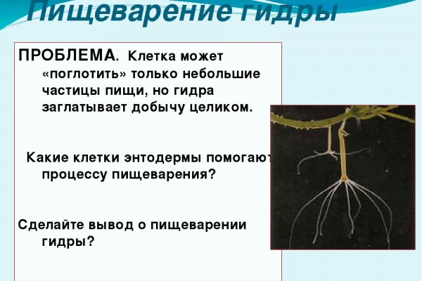 Как зайти на кракен через тор