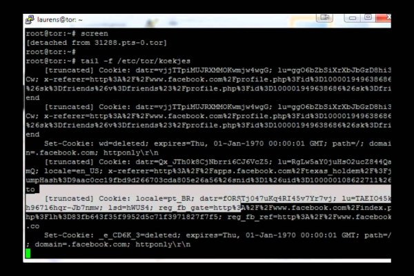 Mega darknet ссылка